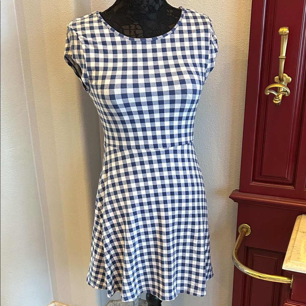 Blue and White Gingham Skater Dress